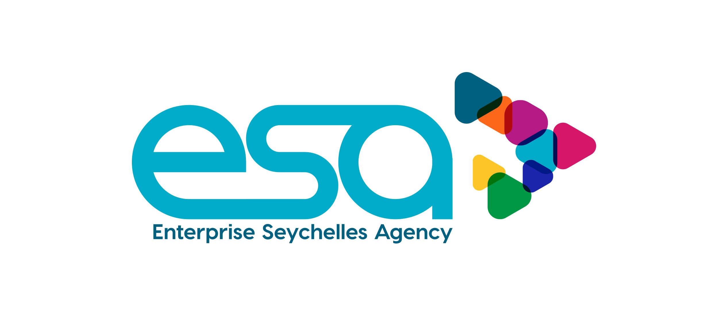 Official launching of ESA