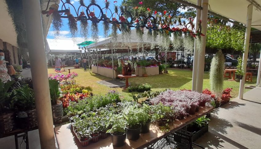 ESA Hosts Flowers & Plants Exhibition as part of Creole Festival